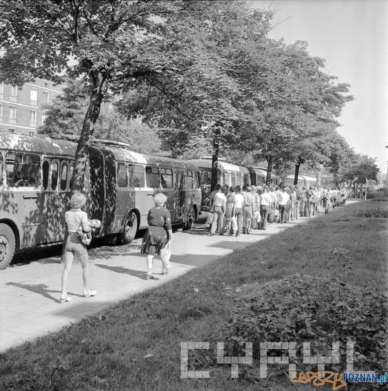 Parking dla autobusów przy Parku Kasprowicza 1975