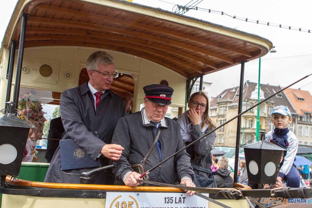 135 komunikacji miejskiej w Poznaniu – 21.06.2015 r.