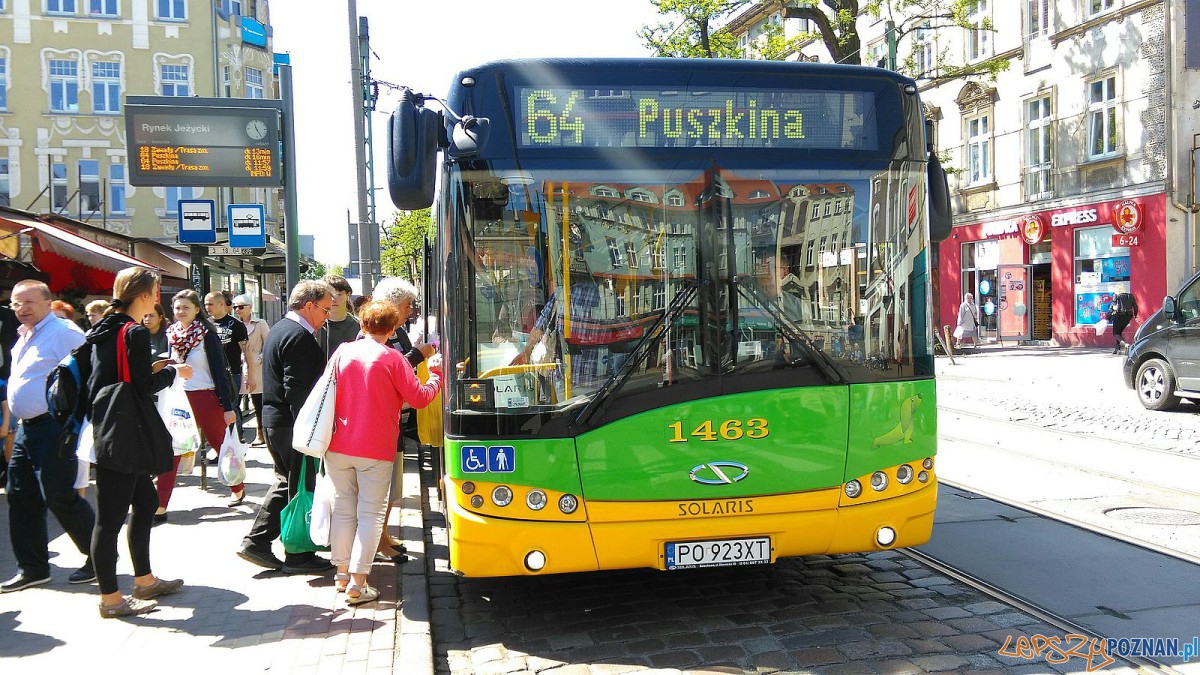 Autobus 64 na Kraszewskiego Foto: TD