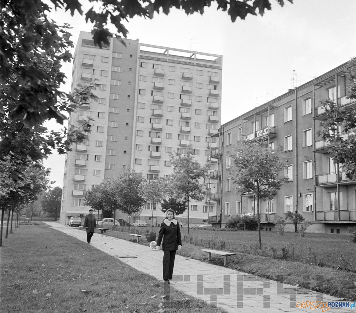 Bloki na Dębcu - 9.10.1974 Foto: Stanisław Wiktor / Cyryl Bloki na Dębcu - 9.10.1974
