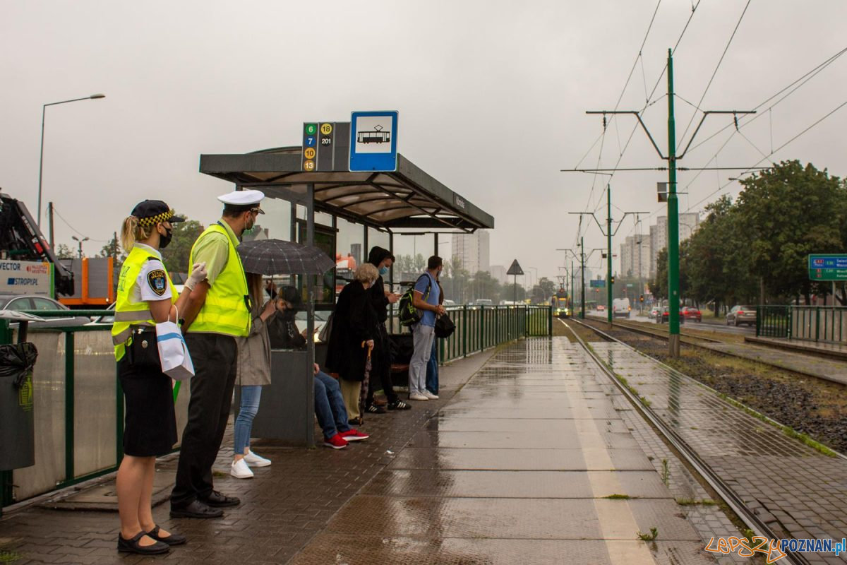 Akcja Straży Miejskiej i MPK w tramwajach Foto: MPK